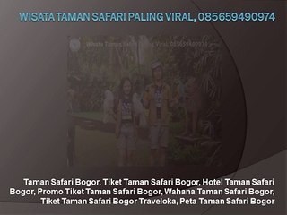 Wisata Taman Safari Paling Viral, 085659490974