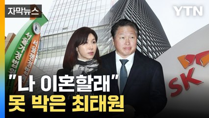 [자막뉴스] 소송 취하할 땐 언제고...최태원 "이혼 먼저 확정해달라" / YTN