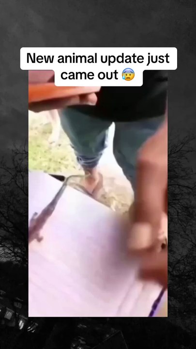 Dark Secrets of the Most Haunted Castles!