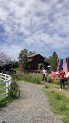 Địa điểm chill checkin chụp ảnh tết 2025 hot trend nhất cộng đồng mạng