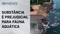 Mais de 70 toneladas de ácido sulfúrico cai em rio após ponte desabar