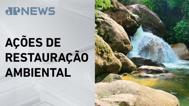 São Paulo restaura área equivalente a 16.500 campos de futebol em dois anos