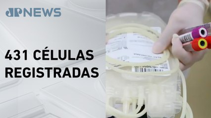 Coleta de medula óssea cresce 8% no Brasil em 2024