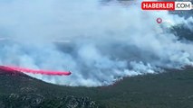 Avustralya'da Orman Yangını: 70 Bin Hektar Alan Küle Döndü