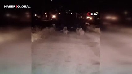 Van'da ayı sürüsü kameraya yansıdı