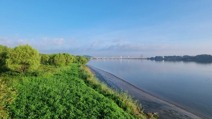 [서울] 서울 강서습지생태공원 '생태·경관보전지역' 지정 / YTN
