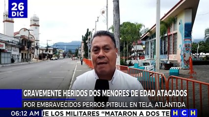 Dos menores afectados deja ataque de perro Pitbull en La Ceiba