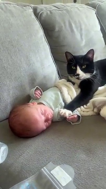 Cat Rests Open Paws on Sleeping Baby.  I was just stretching! 😹 #Cats #Funny #CatMemes #Babies #CatLovers