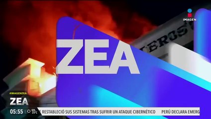 Mueren 2 perritos en un incendio en Gómez Palacio, Durango