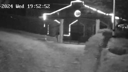VIDEO | Así se vio el fuerte sismo en Antioquia: cámaras de seguridad grabaron el momento exacto