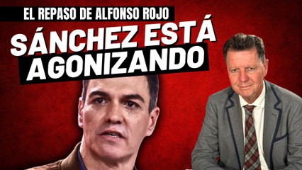 Alfonso Rojo: “El régimen sanchista está en la agonía, no se enreden PP y VOX y déjenos votarles””