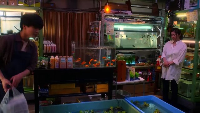 Como peces dorados Capitulo 4