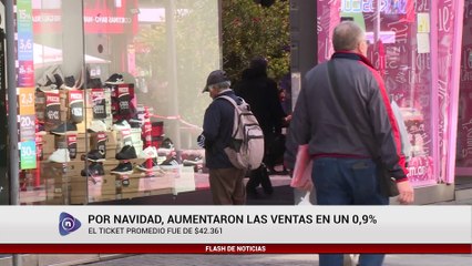 POR NAVIDAD, AUMENTARON LAS VENTAS EN UN 0,9% INTERANUAL