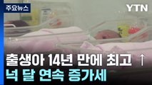 출생아 14년 만에 최고 증가율...4개월 연속↑ / YTN