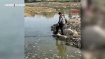 Balık ölümlerinin görüldüğü nehre DSİ'den can suyu