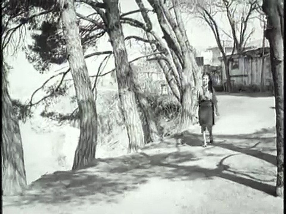 Bir Hizmetçi Kızın Hatıra Defteri