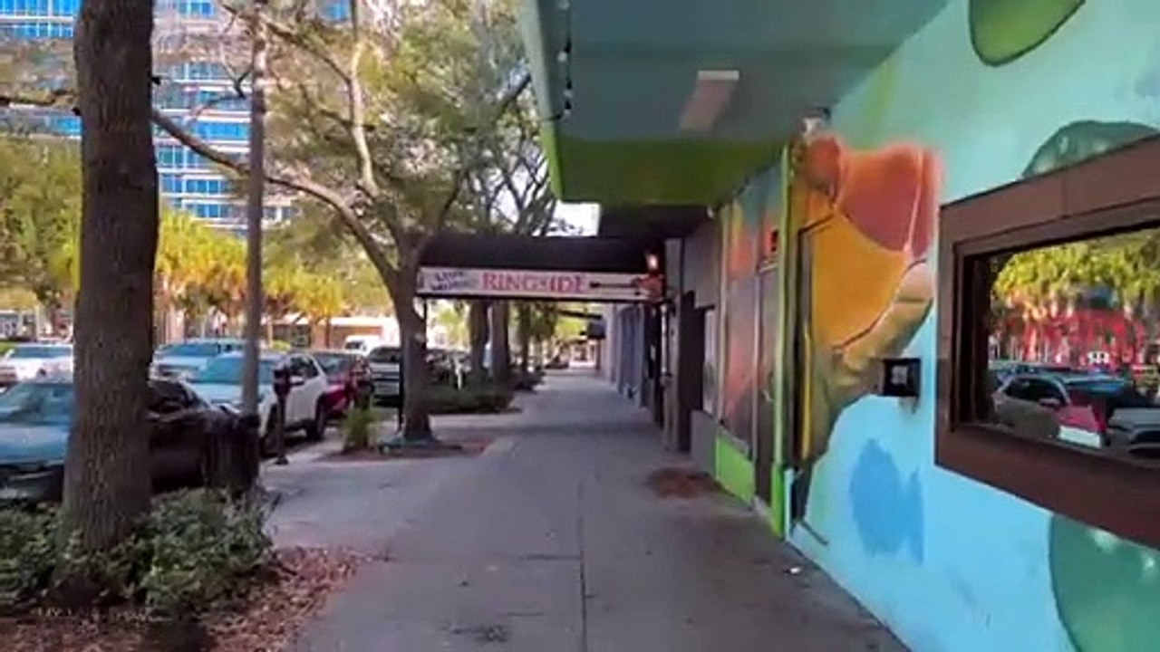 St Petersburg Florida Downtown Walking Tour Jan