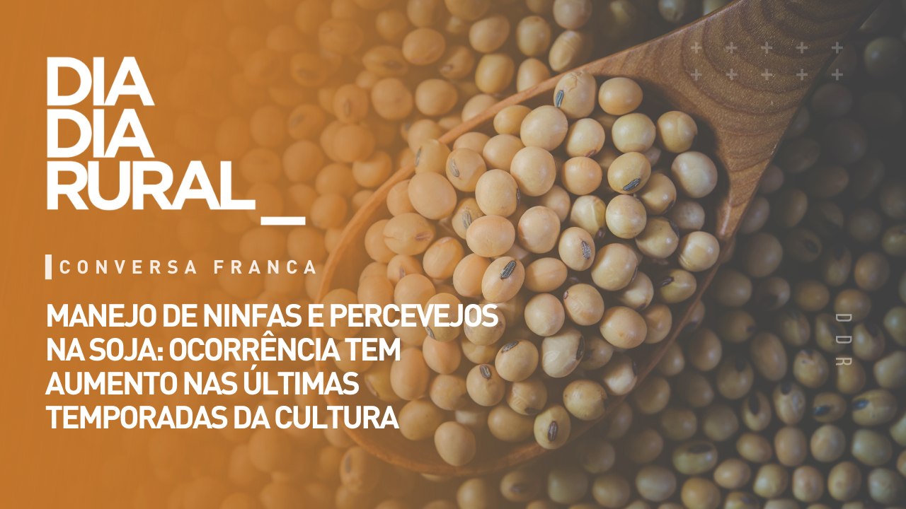 Manejo de ninfas e percevejos na soja: ocorrência tem aumento nas últimas temporadas da cultura