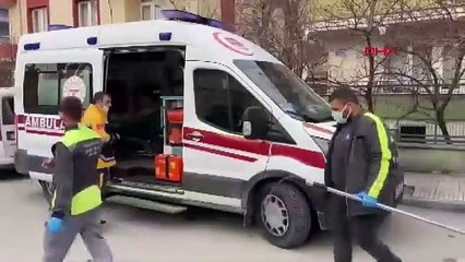 Pittbul şüphesi: Başı parçalanmış halde ölü bulundu!