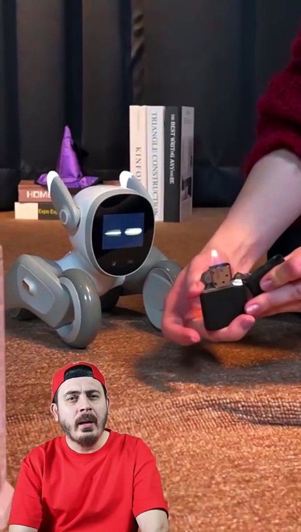 Artificial intelligence robot