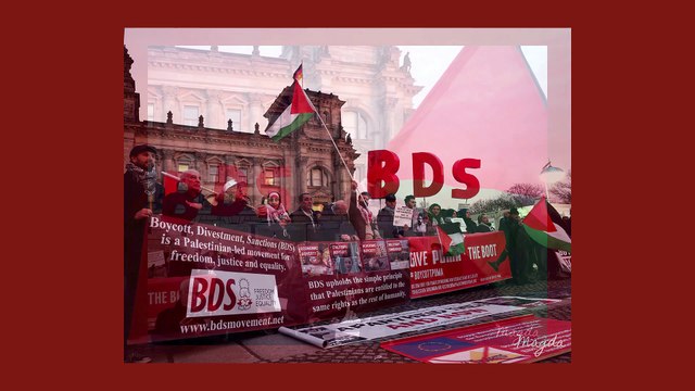Sue singing auf der BDS Kundgebung vor dem Deutschen Bundestag am 31.01.2020