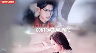 Fall in Love with My Contractual Wife  (Chinese Drama English Subtitles ) Snackshort