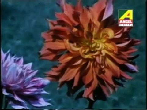 002-Part,2,Bengoli Bhakti Film,Manab Premik Nemai-