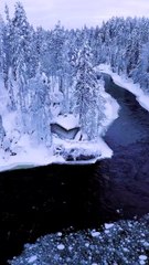 Magical Ice morning on the river ❄️ beautiful nature