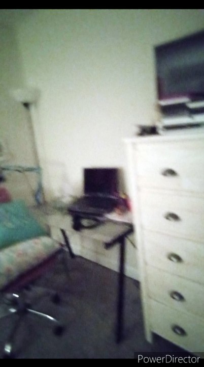 My pictures 267