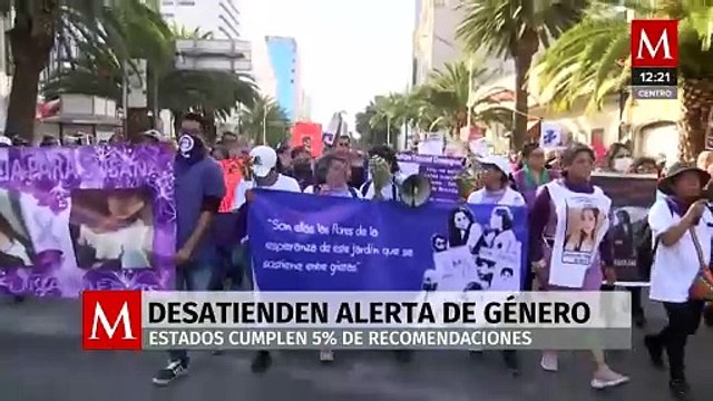 Entidades han desatendido las Alertas de Violencia de Género