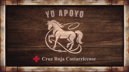 DBB 26 Diciembre 2024