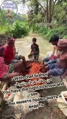 You have the right to know and see #youtube #instagram #instagramreels #facebook #food #chef