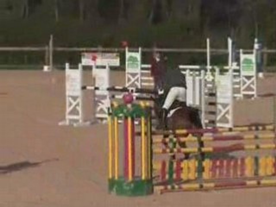 Pas d'histoire, Arnas,15-17 Avril 2008, vidéo 1