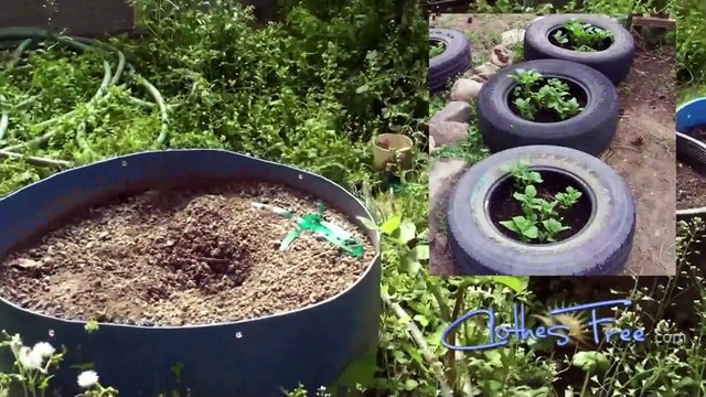 1ère partie : Journée mondiale du jardinage nu : Créée en 2005 par Mark Storey, rédacteur pour la revue Nude & Naturel magazine et le permaculteur Jacob Gabriel