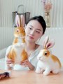 Ready To Ship Kids Cute Soft Plush Rabbit Bunny Animal Toy Promotional Cheap Crane Machine Soft Plush Toys Claw Machine Doll