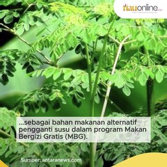 Soal Susu Diganti Daun Kelor, Cak Imin: Masih Simulasi