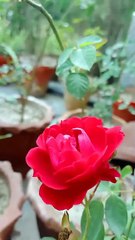 Allah se maded ki Dua 🙏🙏🙏