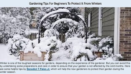 Benedict T. Palen, Jr – Gardening Tips For Beginners To Protect It From Winters