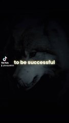 Success is the sum of small efforts, day after day.