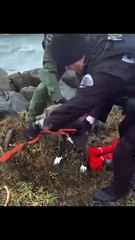 resgate, embarcação, EUA