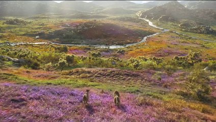 Mufasa: The Lion King | Tv Spot: Together Review