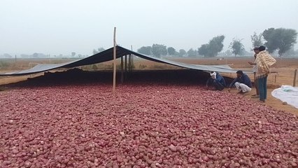 खेत पर ही टेंट लगाने को किसान मजबूर