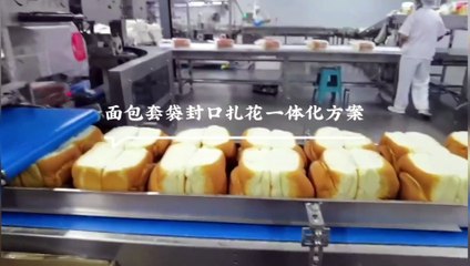 2.1面包套袋封口扎花一体化方案pre-made bag packing machine with tie