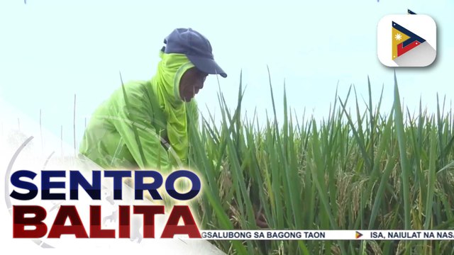 Suporta ng administrasyon ni PBBM sa sektor ng agrikultura at pagpapabuti sa pamumuhay ng mga Pilipino, pinaigting pa ngayong 2024