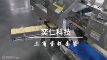 2.3三角蛋糕套袋  triangle cake premade bag packing machine