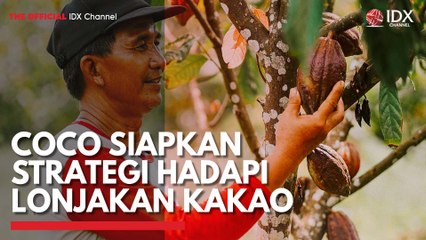 COCO Siapkan Strategi Hadapi Lonjakan Kakao