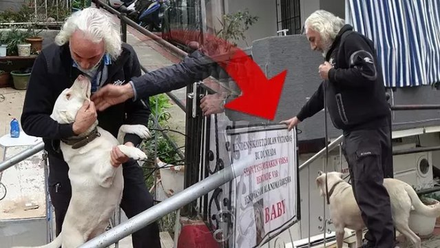 Komşuların rahatsız olduğu labrador cinsi köpek için sahibinden pankartlı tepki