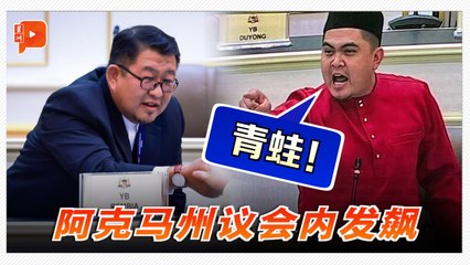 甲文庙YB再拉尼列在野议员 阿克马飙骂：青蛙