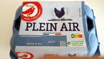 AUCHAN Oeufs de poules élevées en plein air sans ogm 6 oeufs