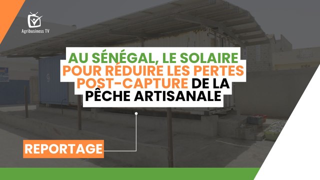 Au Sénégal, le solaire pour réduire les pertes post-capture de la pêche artisanaleSénégal : Au Sénégal, le solaire pour réduire les pertes post-capture de la pêche artisanale